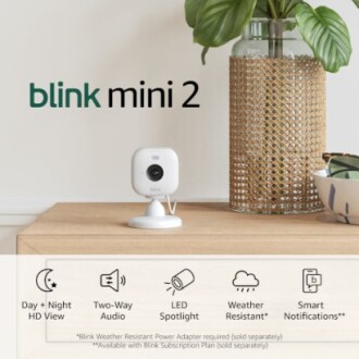 Blink Mini 2