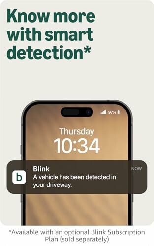 Phone screen showing smart detection notification from Blink.