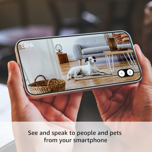 Person holding smartphone showing pet monitoring app with dog on screen