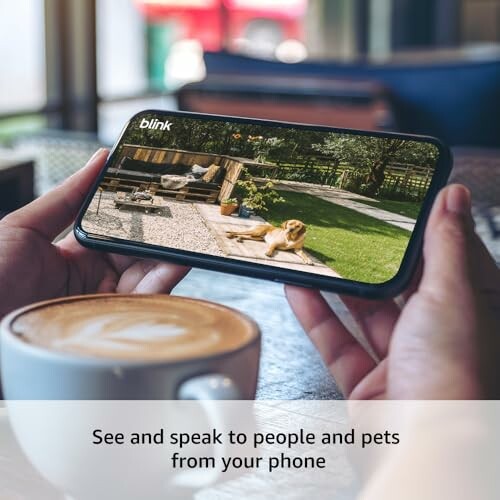 Person holding phone displaying security camera footage of a dog in a yard.